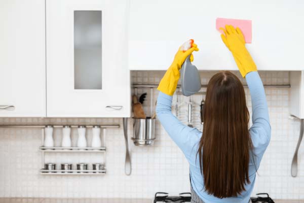 Whole Kitchen Cleaning Services